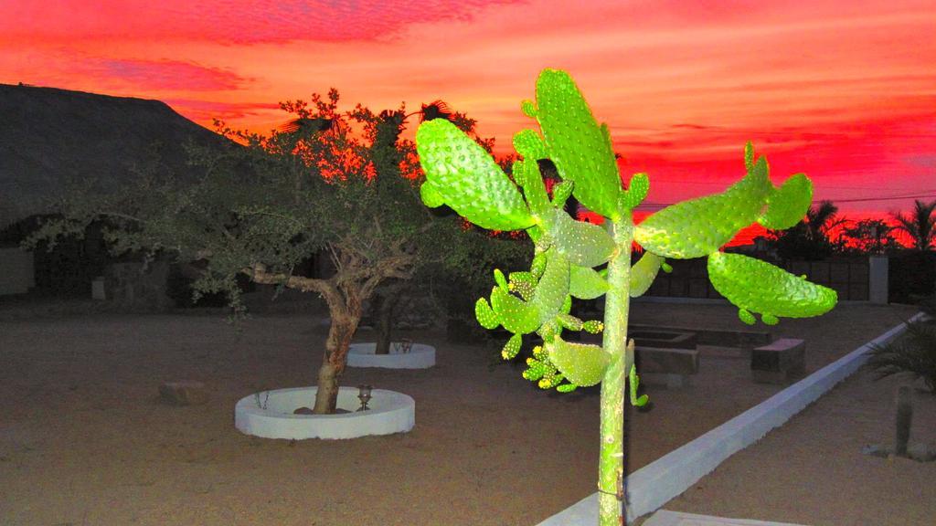 Palapas La Choya Villa La Ventana Екстериор снимка